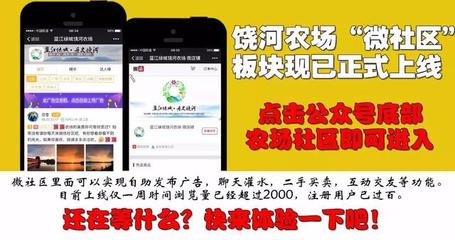 饶河农场，我的家